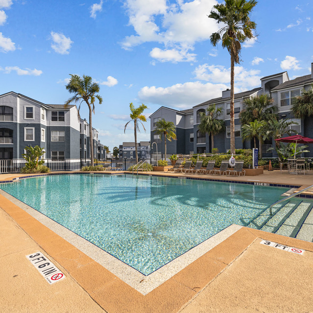 The Park at Veneto - A Sunny Pool Area Surrounded by Palm Trees